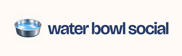 water bowl social