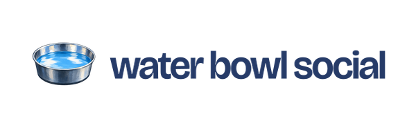 water bowl social
